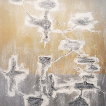 "Mi hielo dispara llamas secas" Darío Parejas Artista Visual Argentino